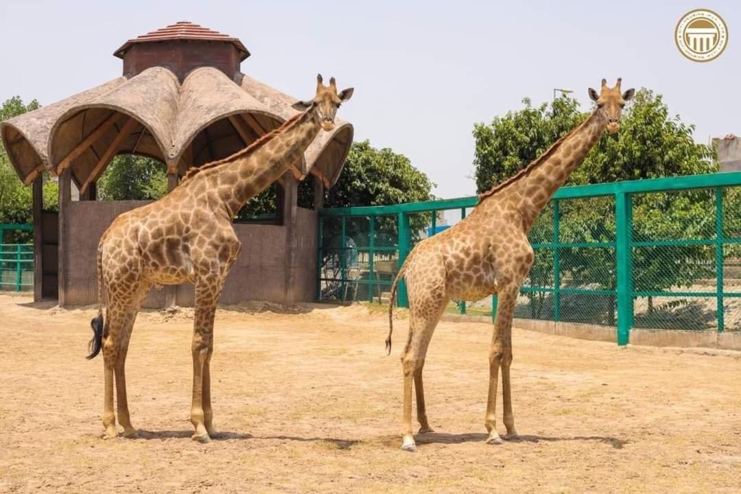 ホテル Premier Heights Jhelum エクステリア 写真