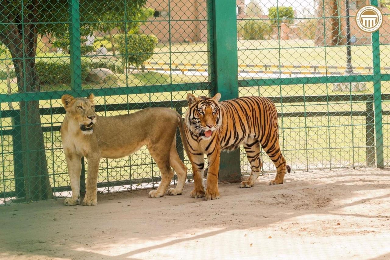 ホテル Premier Heights Jhelum エクステリア 写真